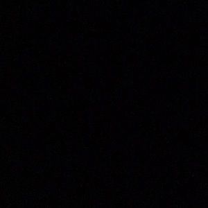 Meet your Posher, Lorri